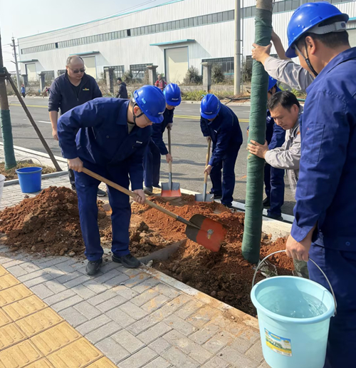 植一抹新綠，種一份希望